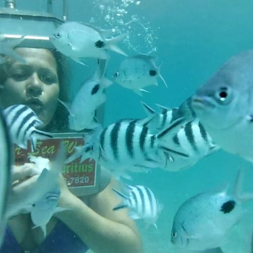 Underwater sea walk experience