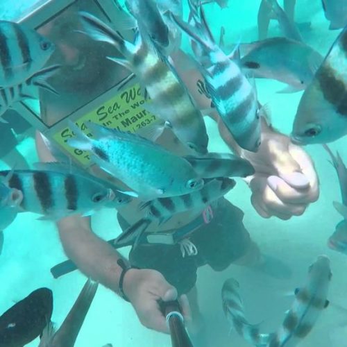 Helmet diving underwater